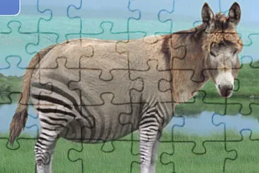 Donkey Ela Zebra jigsaw puzzle