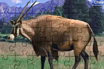 Gemsbok Bison jigsaw puzzle