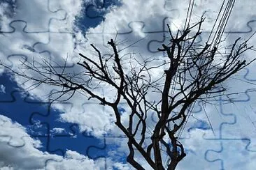 Hermoso día jigsaw puzzle