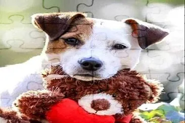 perro jigsaw puzzle