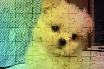  jigsaw puzzle