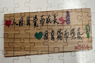 0310 jigsaw puzzle