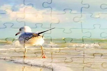 פאזל של animales