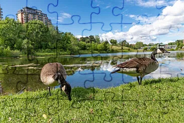 Toy jigsaw puzzle