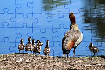 Toy jigsaw puzzle