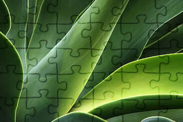 Toy jigsaw puzzle