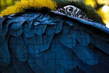 Toy jigsaw puzzle