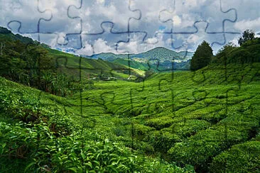 Toy jigsaw puzzle