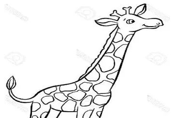girafa