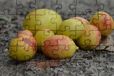 a jigsaw puzzle