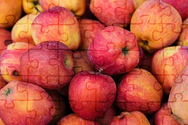 Toy jigsaw puzzle