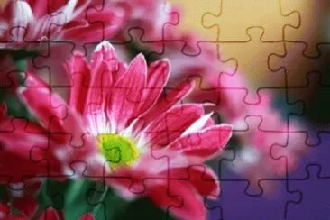 image jigsaw puzzle