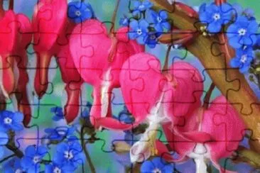 image jigsaw puzzle