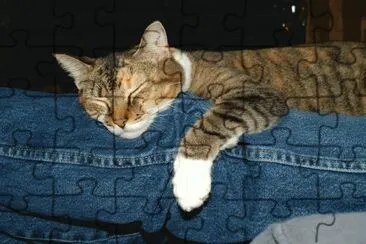 Allie jigsaw puzzle