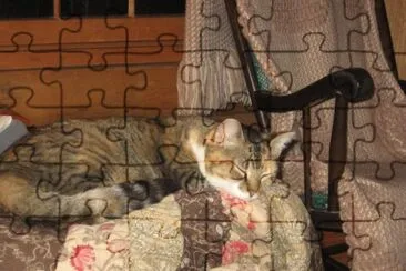 Allie jigsaw puzzle