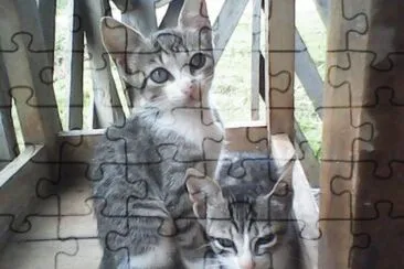 valdinei jigsaw puzzle