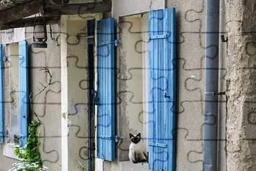 gato jigsaw puzzle