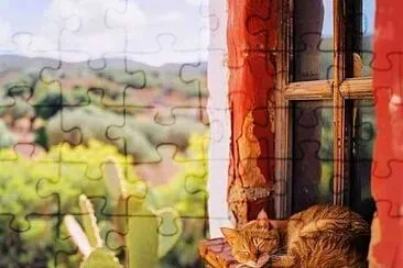 gato jigsaw puzzle