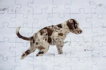 Toy jigsaw puzzle