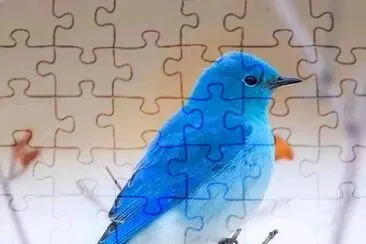  jigsaw puzzle