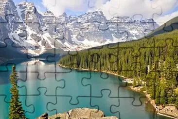  jigsaw puzzle