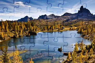  jigsaw puzzle