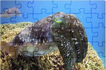 FaraÃ³n jigsaw puzzle