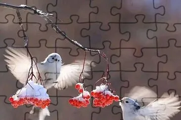 imagem jigsaw puzzle