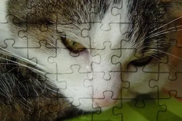 ImÃ¡genes jigsaw puzzle