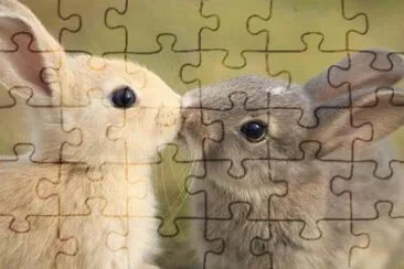 ImÃ¡genes jigsaw puzzle