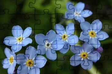 ImÃ¡genes jigsaw puzzle