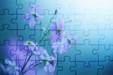 ImÃ¡genes jigsaw puzzle