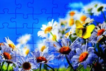 ImÃ¡genes jigsaw puzzle