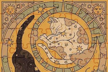 Gato