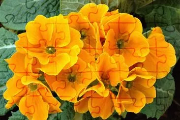 ImÃ¡genes jigsaw puzzle