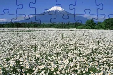 ImÃ¡genes jigsaw puzzle