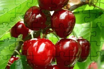 ImÃ¡genes jigsaw puzzle