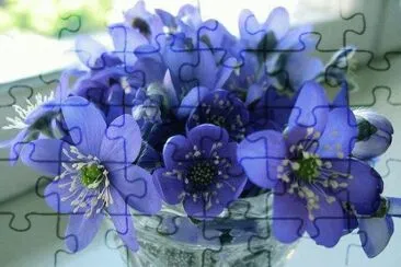 ImÃ¡genes jigsaw puzzle