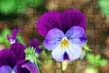 flower jigsaw puzzle