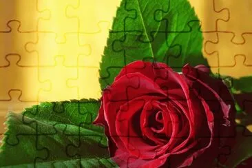 flower jigsaw puzzle