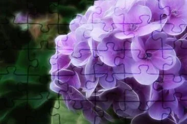 flower jigsaw puzzle