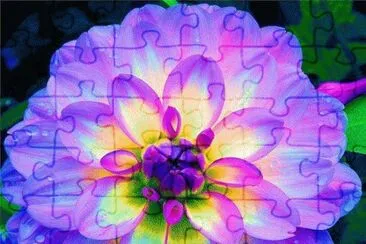 flower jigsaw puzzle