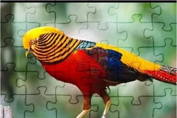 PASSARO2 jigsaw puzzle