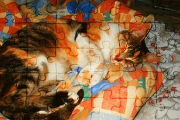 Camy en su siesta