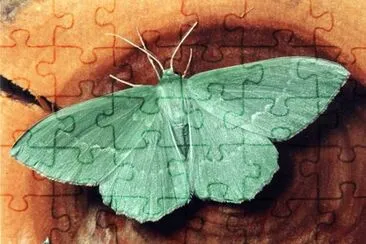 . jigsaw puzzle
