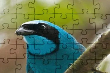 . jigsaw puzzle