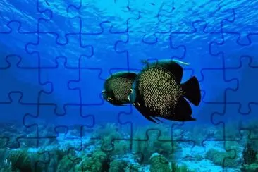 . jigsaw puzzle