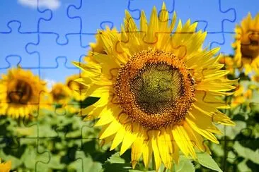 Toy jigsaw puzzle