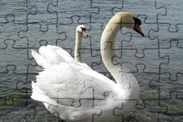 picture jigsaw puzzle