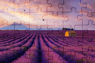 Toy jigsaw puzzle